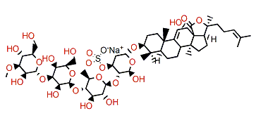 Pervicoside B